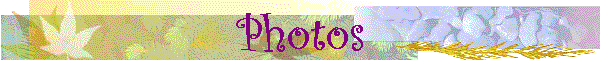 Photos
