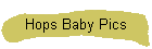 Hops Baby Pics